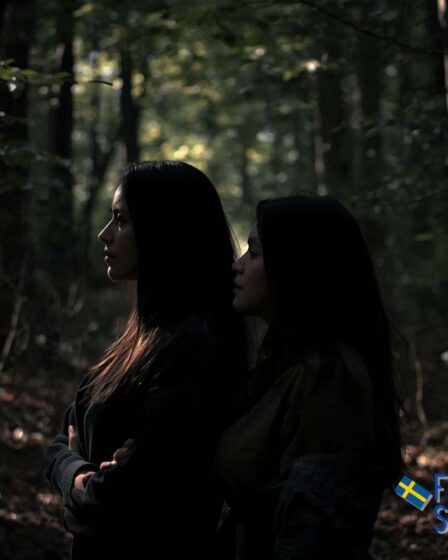 Culutral Chock moving to Sweden